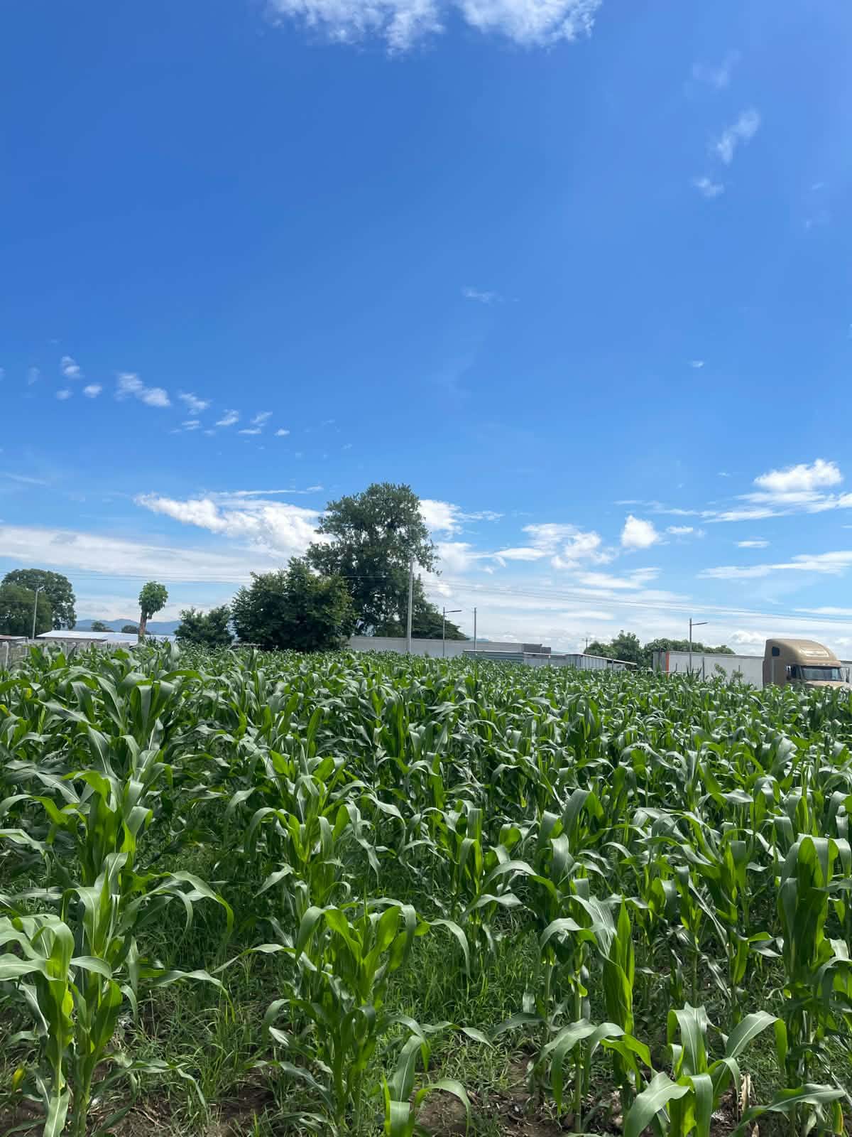 Terreno en Venta | Copapayo, Armenia