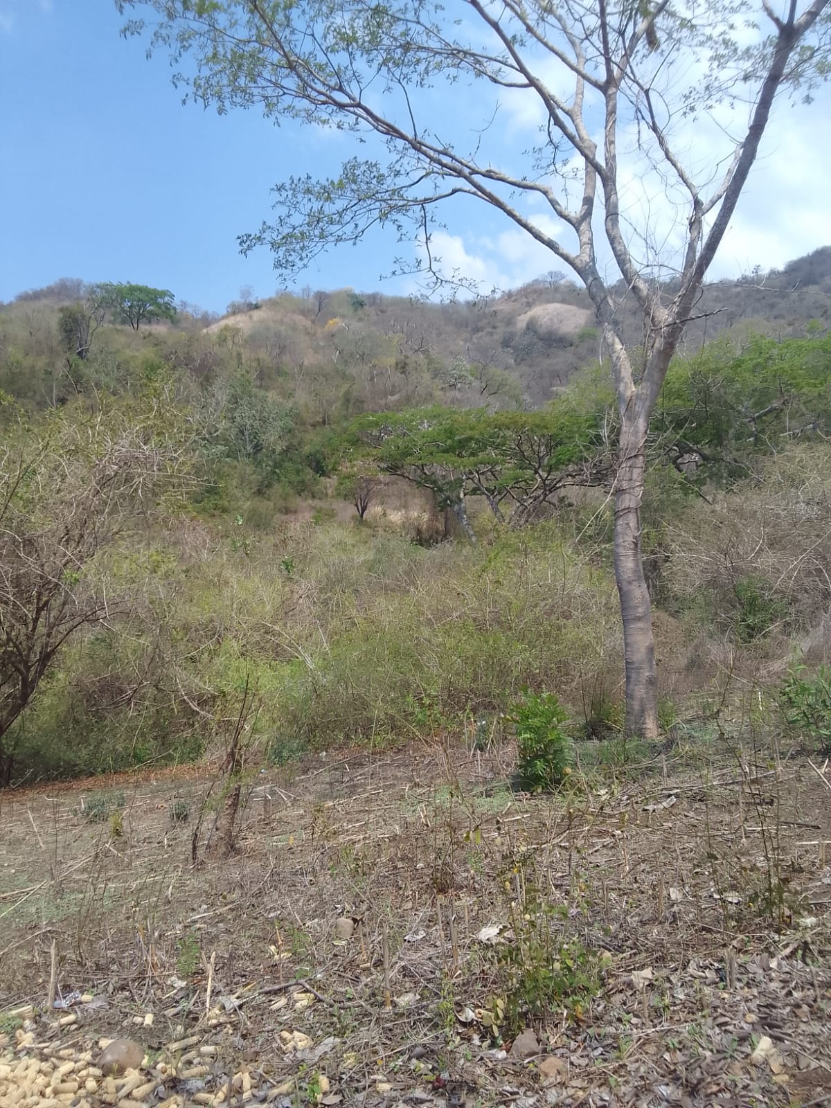 Terreno en Venta – 3.75 Manzanas en Chiltiupán, La Libertad