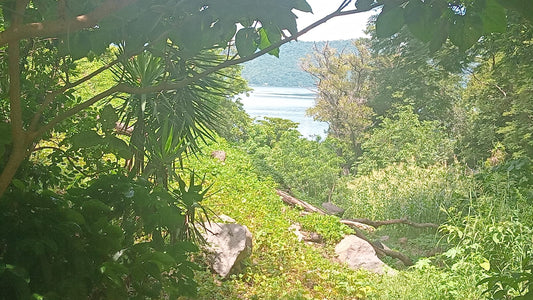 Terreno en Venta con Vista al Lago de Coatepeque | Santa Ana