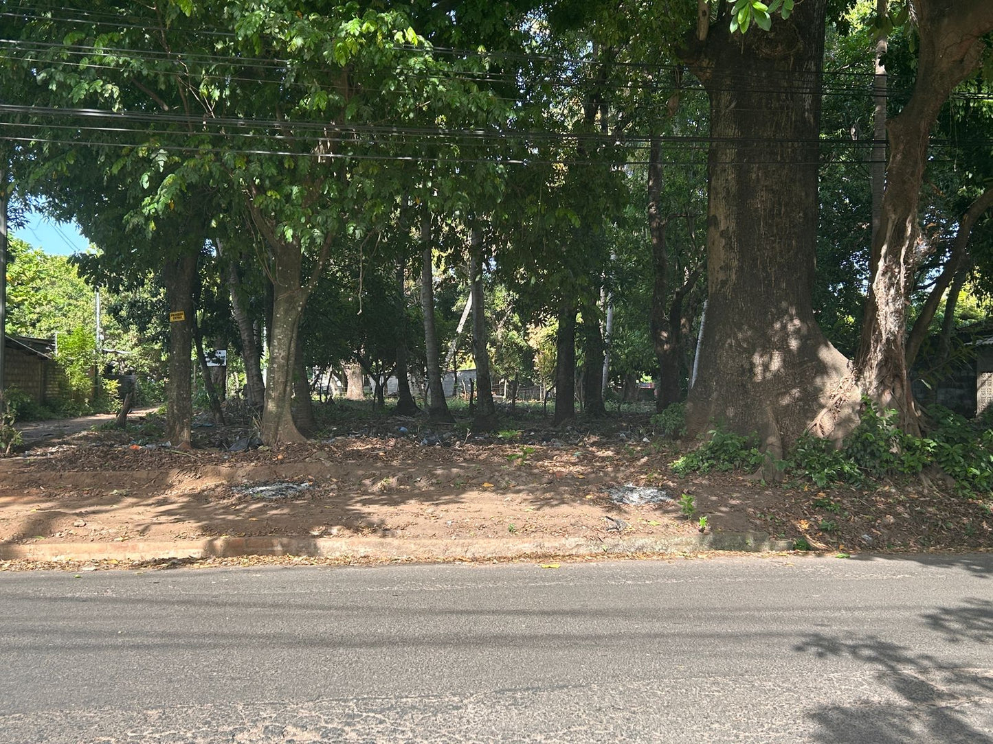 Terreno Estratégico en Venta en Usulután – Amplio, Accesible y con Gran Potencial