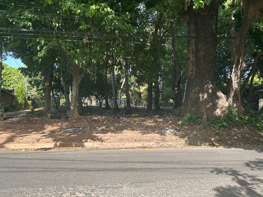 Terreno Estratégico en Venta en Usulután – Amplio, Accesible y con Gran Potencial