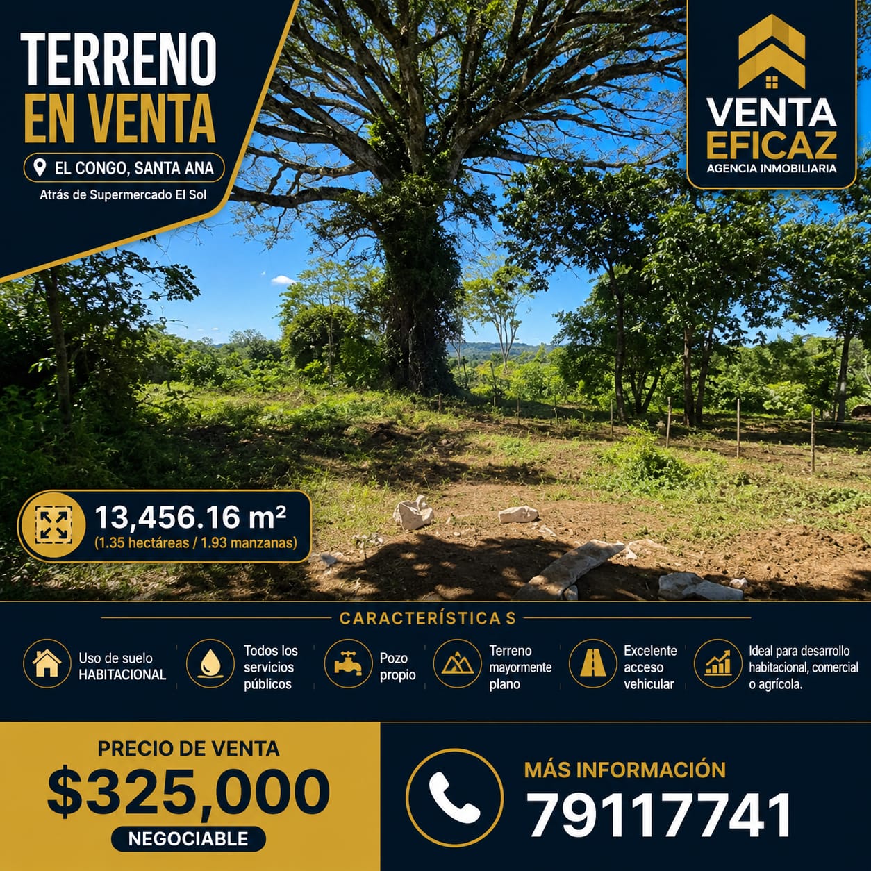 Gran oportunidad para inversores