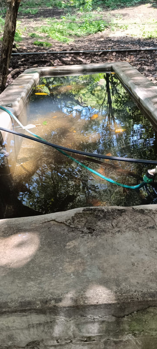 ¡Oportunidad Única de Inversión en Texistepeque, Santa Ana! 150 Manzanas con Agua, Acceso Pavimentado y Gran Potencial