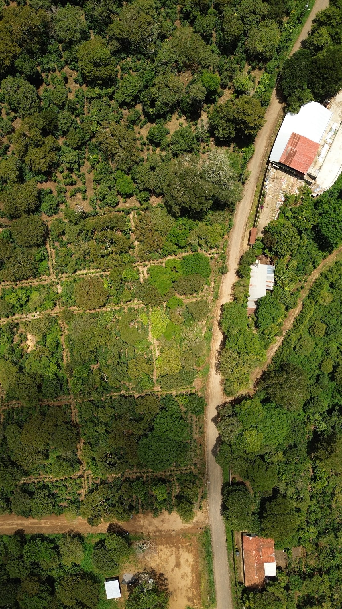 Terreno de 1.6 Manzanas en Venta a 3 Minutos del Pueblo de Ataco