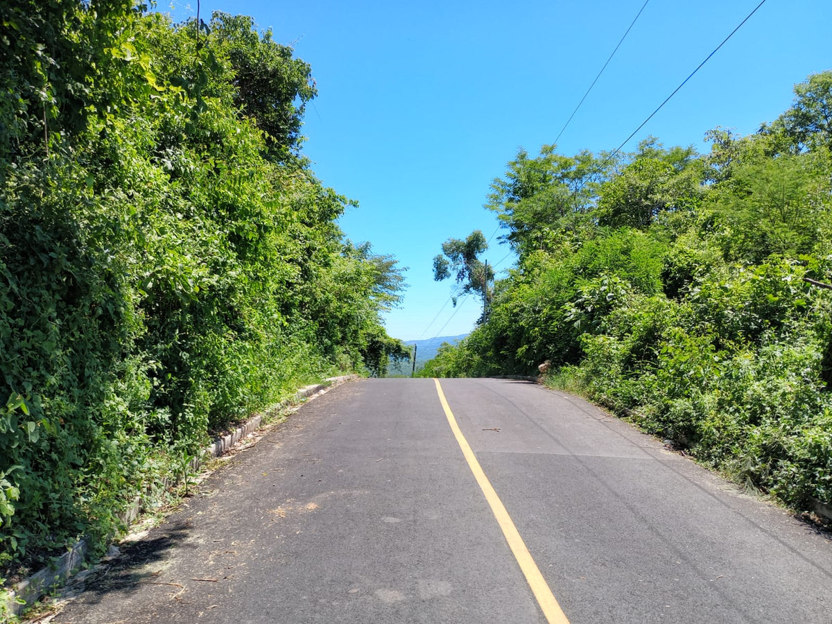 Extraordinaria Oportunidad de Inversión sobre la Carretera Panamericana | Más de 100 Manzanas