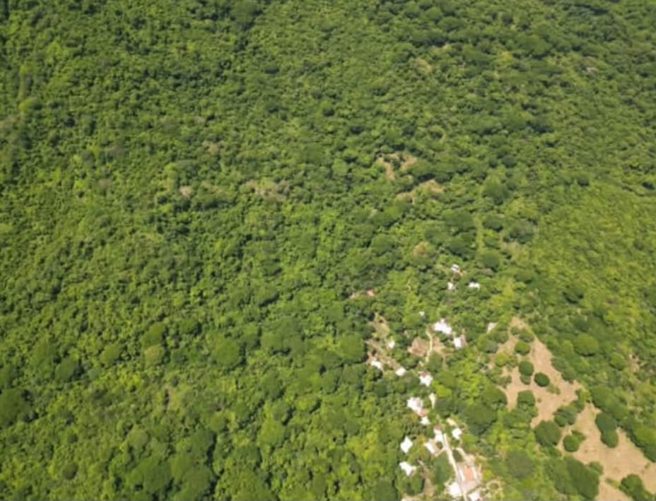 105 Manzanas de Tierra Blanca en Venta en Santiago Nonualco – $6,000 por Manzana
