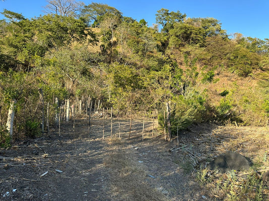 Terreno en Venta en Santa Ana con Vista al Lago de Coatepeque
