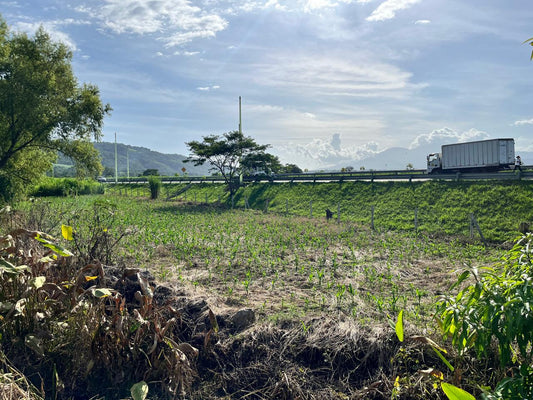 Terreno Estratégico en Venta Frente al Boulevard Claudia Lars | Ideal para Inversión y Desarrollo Comercial