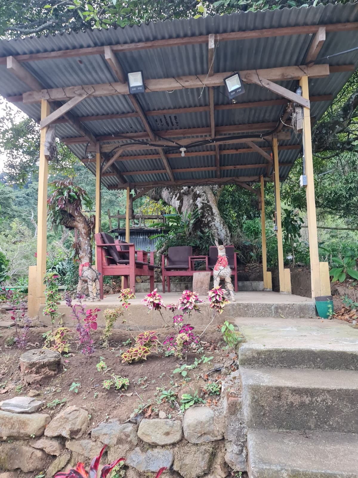 Finca en Venta en Jayaque, La Libertad | 39,000 Varas² con Cultivo de Café y Acceso a Orilla de Calle