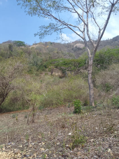 Terreno en Venta – 3.75 Manzanas en Chiltiupán, La Libertad