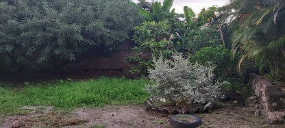 Propiedad en venta con 2,030 m² y casa incluida en Hato Nuevo, San Miguel
