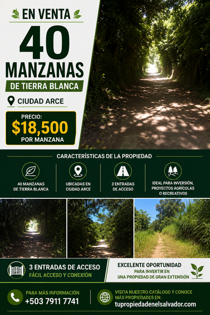 40 Manzanas de Tierra Blanca en Venta en Ciudad Arce – Amplia Propiedad con 3 Entradas de Acceso