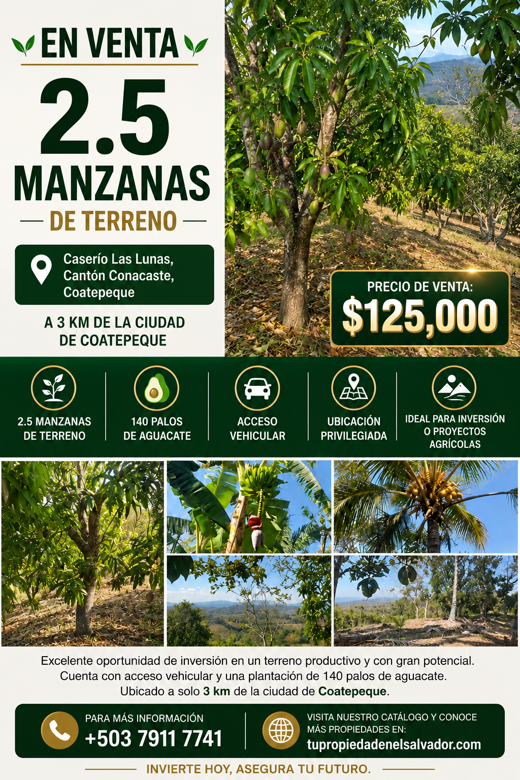 Terreno de 2.5 Manzanas en Venta en Coatepeque con 140 Árboles de Aguacate