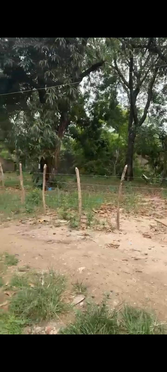 Casa con amplio terreno urbano en venta en Col. Anabella, Zacatecoluca