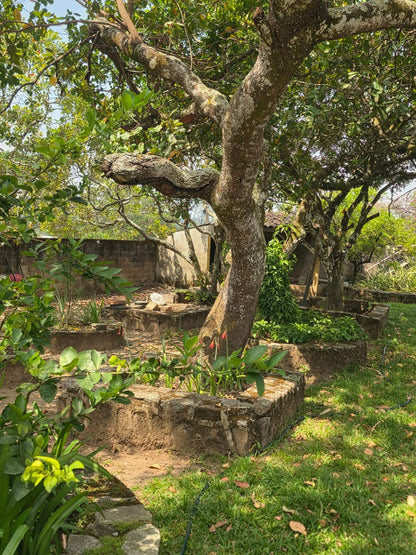 Turicentro Brisas de San Francisco – Naturaleza, Comodidad y Diversión en un Solo Lugar