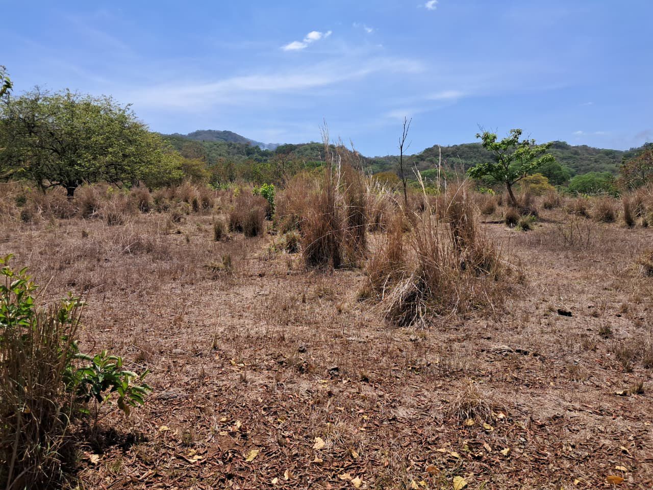 78 Manzanas en Venta en San Vicente – Oportunidad Única para Inversión y Desarrollo