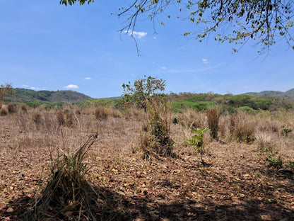78 Manzanas en Venta en San Vicente – Oportunidad Única para Inversión y Desarrollo