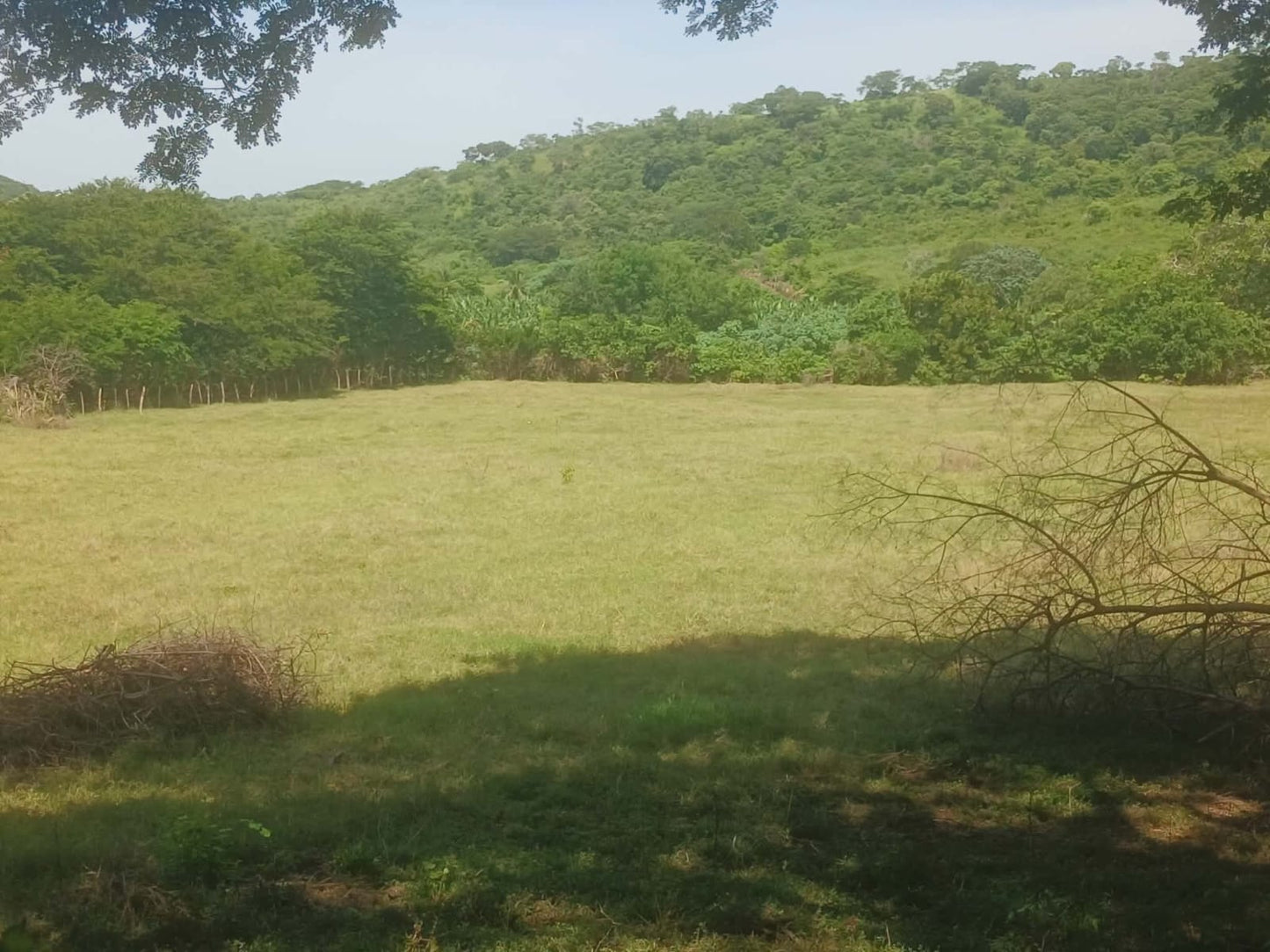 1350 Manzanas en Venta en Usulután – Tierra con Agua y Alto Potencial de Desarrollo