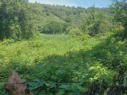 1350 Manzanas en Venta en Usulután – Tierra con Agua y Alto Potencial de Desarrollo