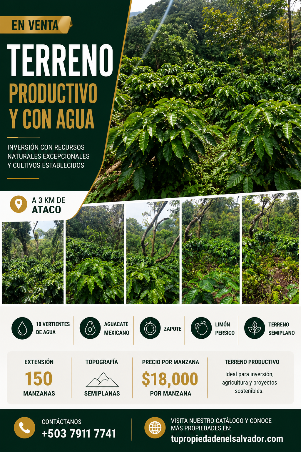 Finca Productiva de 150 Manzanas en Venta | A 3 km de Ataco | Agua Permanente y Cultivos Establecidos