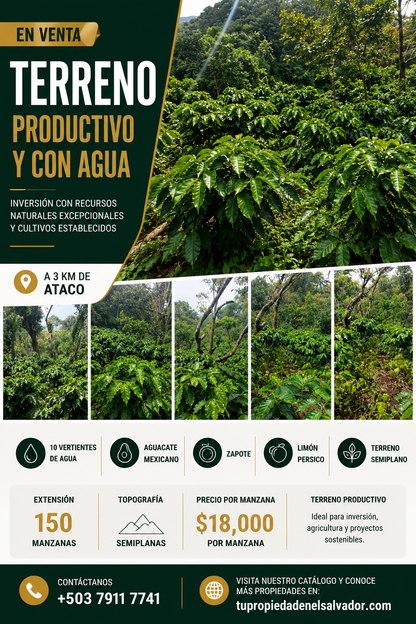 Finca Productiva de 150 Manzanas en Venta | A 3 km de Ataco | Agua Permanente y Cultivos Establecidos