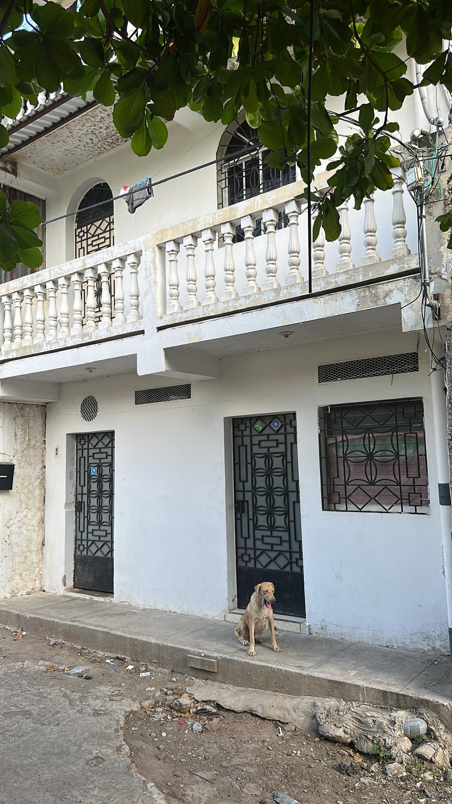 Edificio de 6 Niveles en Venta en San Vicente Centro | Excelente Oportunidad de Inversión