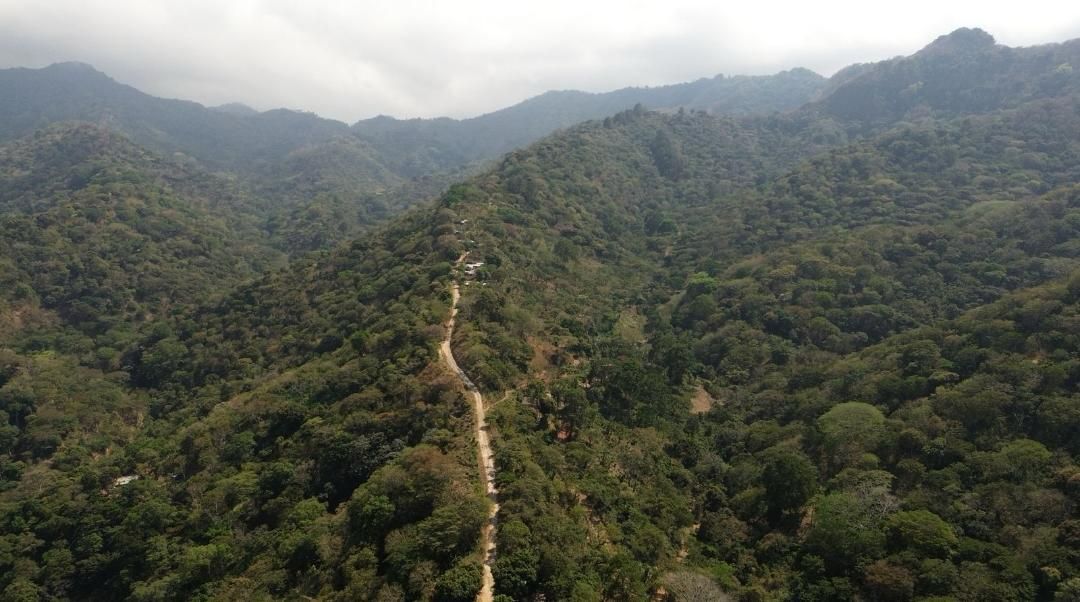 Finca de 150 Manzanas de Café de Estricta Altura en Tacuba, Ahuachapán