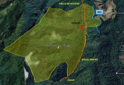 Finca de 150 Manzanas de Café de Estricta Altura en Tacuba, Ahuachapán