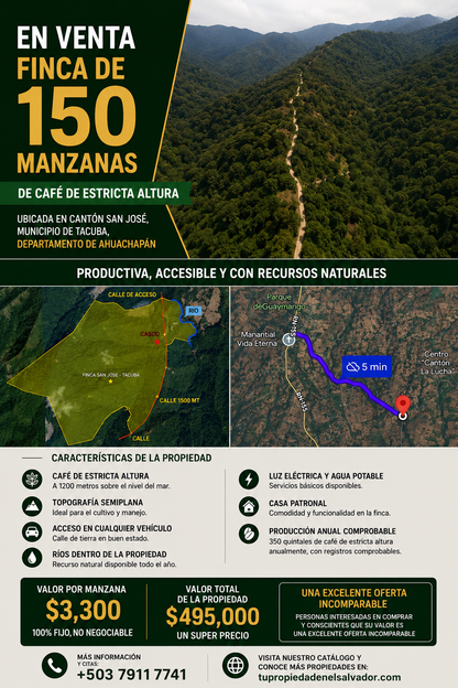Finca de 150 Manzanas de Café de Estricta Altura en Tacuba, Ahuachapán