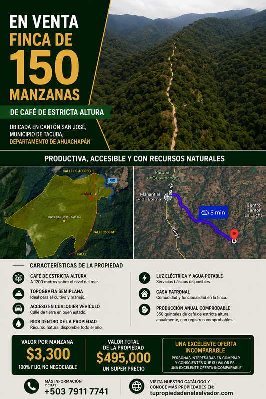 Finca de 150 Manzanas de Café de Estricta Altura en Tacuba, Ahuachapán