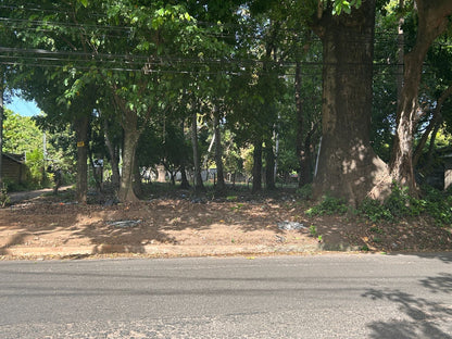 Terreno Estratégico en Venta en Usulután – Amplio, Accesible y con Gran Potencial