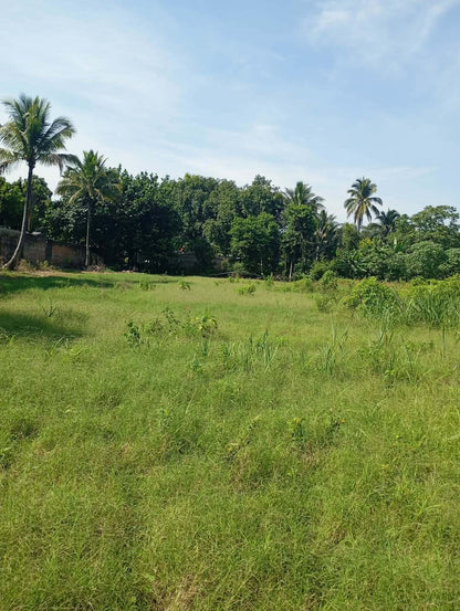 Terreno Plano en Venta en Cantón Ateos, Sacacoyo – 1,200.96 m² con Excelente Ubicación