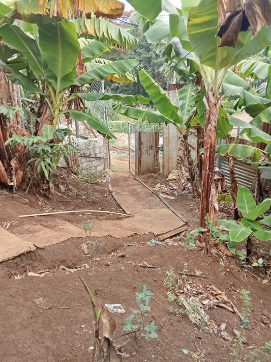 Terreno con Cuarto en Venta en Primavera, Santa Ana
