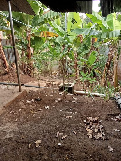 Terreno con Cuarto en Venta en Primavera, Santa Ana