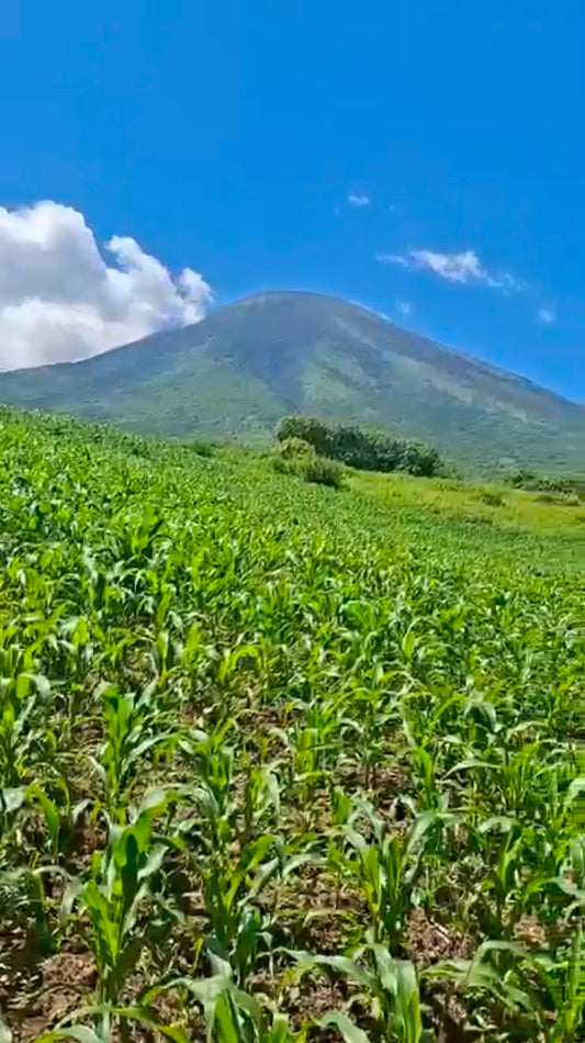 204 Manzanas Agrícolas en las Faldas del Volcán Chaparrastique | Con Nacimientos de Agua