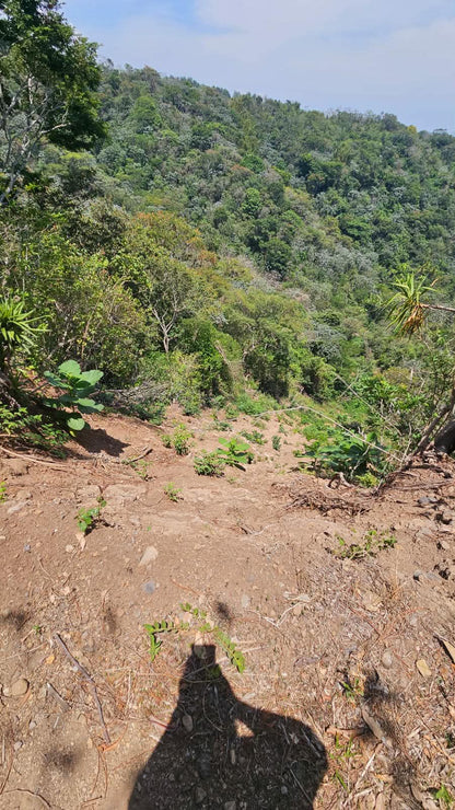Extraordinaria Oportunidad de Inversión: 335 Manzanas con Ríos, Cascadas y Producción de Café en Jujutla, Ahuachapán Sur
