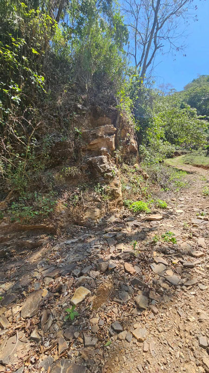 Extraordinaria Oportunidad de Inversión: 335 Manzanas con Ríos, Cascadas y Producción de Café en Jujutla, Ahuachapán Sur