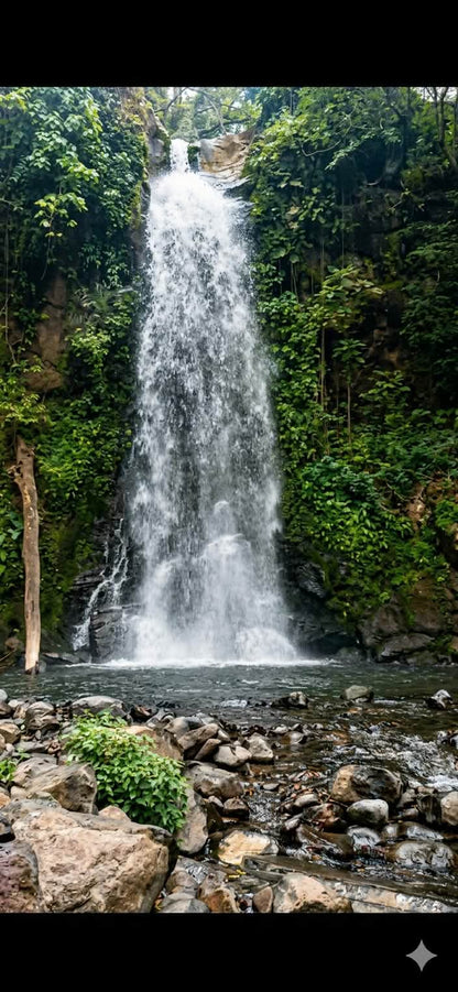 Extraordinaria Oportunidad de Inversión: 335 Manzanas con Ríos, Cascadas y Producción de Café en Jujutla, Ahuachapán Sur