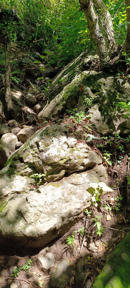 ¡Oportunidad Única de Inversión en Texistepeque, Santa Ana! 150 Manzanas con Agua, Acceso Pavimentado y Gran Potencial