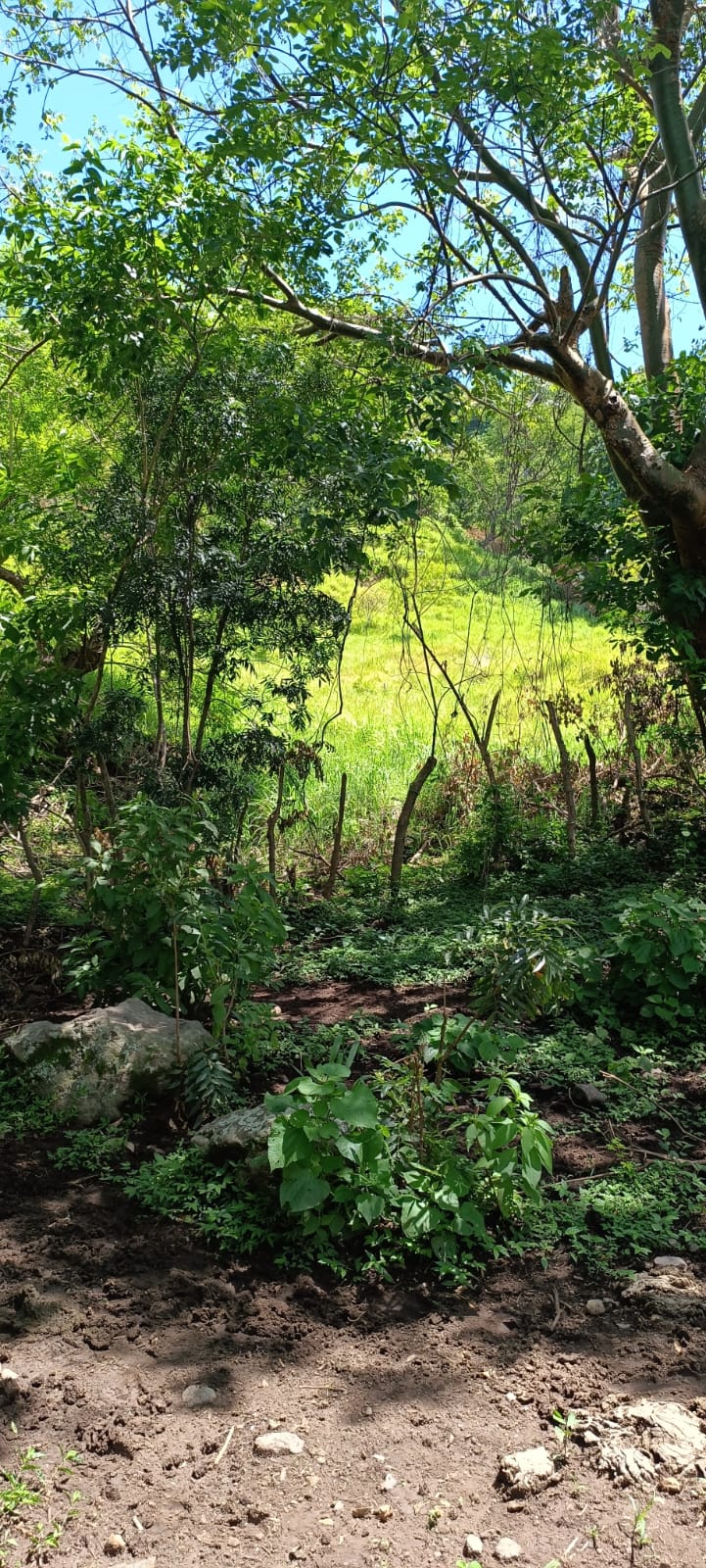 ¡Oportunidad Única de Inversión en Texistepeque, Santa Ana! 150 Manzanas con Agua, Acceso Pavimentado y Gran Potencial