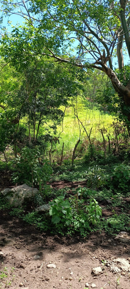 ¡Oportunidad Única de Inversión en Texistepeque, Santa Ana! 150 Manzanas con Agua, Acceso Pavimentado y Gran Potencial