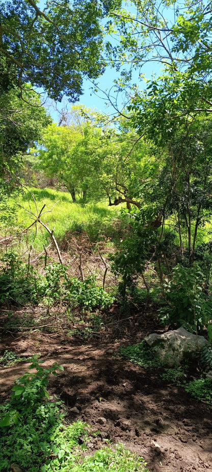 ¡Oportunidad Única de Inversión en Texistepeque, Santa Ana! 150 Manzanas con Agua, Acceso Pavimentado y Gran Potencial