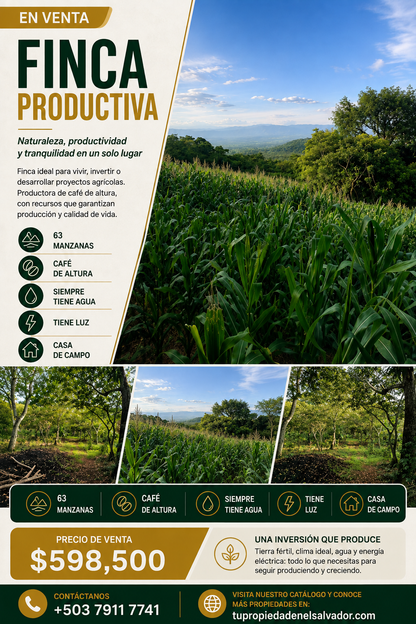 Finca Productiva de 63 Manzanas con Café de Altura, Casa de Campo, Agua Permanente y Energía Eléctrica