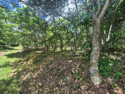Terreno de 4,000 varas² en venta en Apaneca, Cantón Palo Verde – A 15 minutos de Laguna Verde