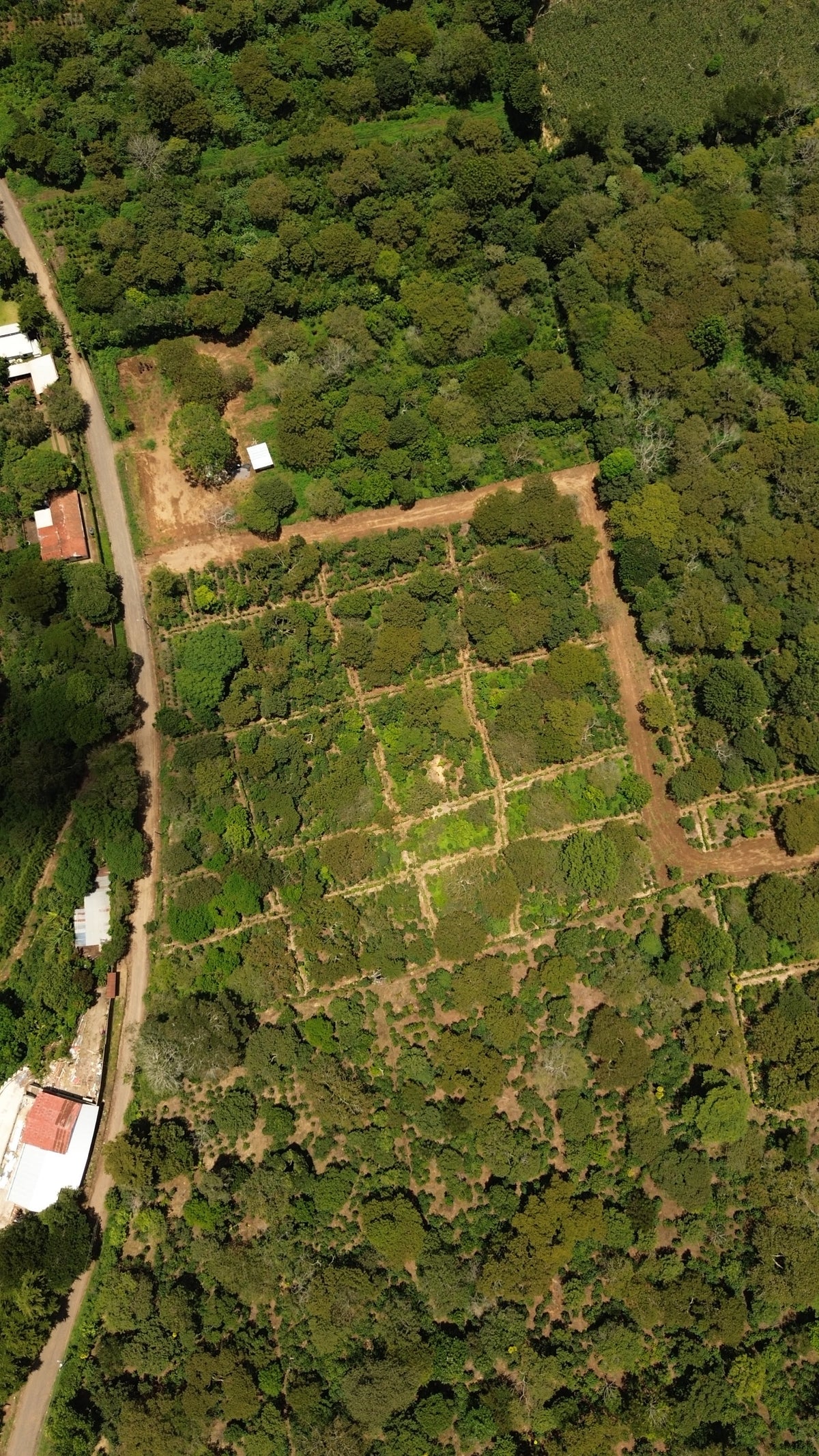 Terreno de 1.6 Manzanas en Venta a 3 Minutos del Pueblo de Ataco