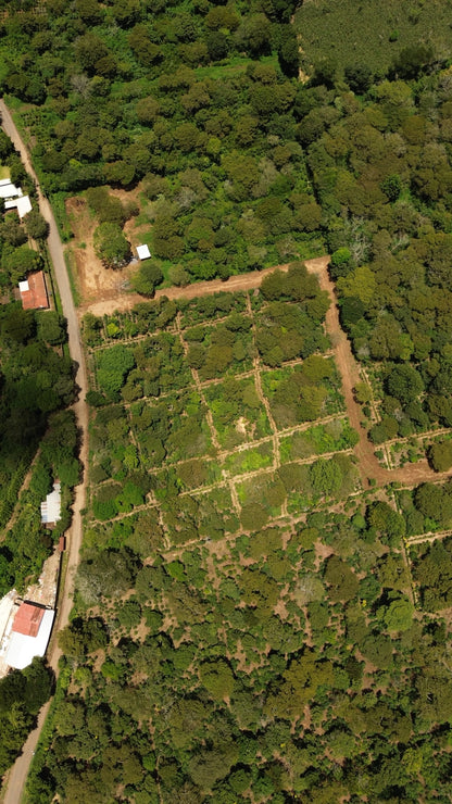 Terreno de 1.6 Manzanas en Venta a 3 Minutos del Pueblo de Ataco