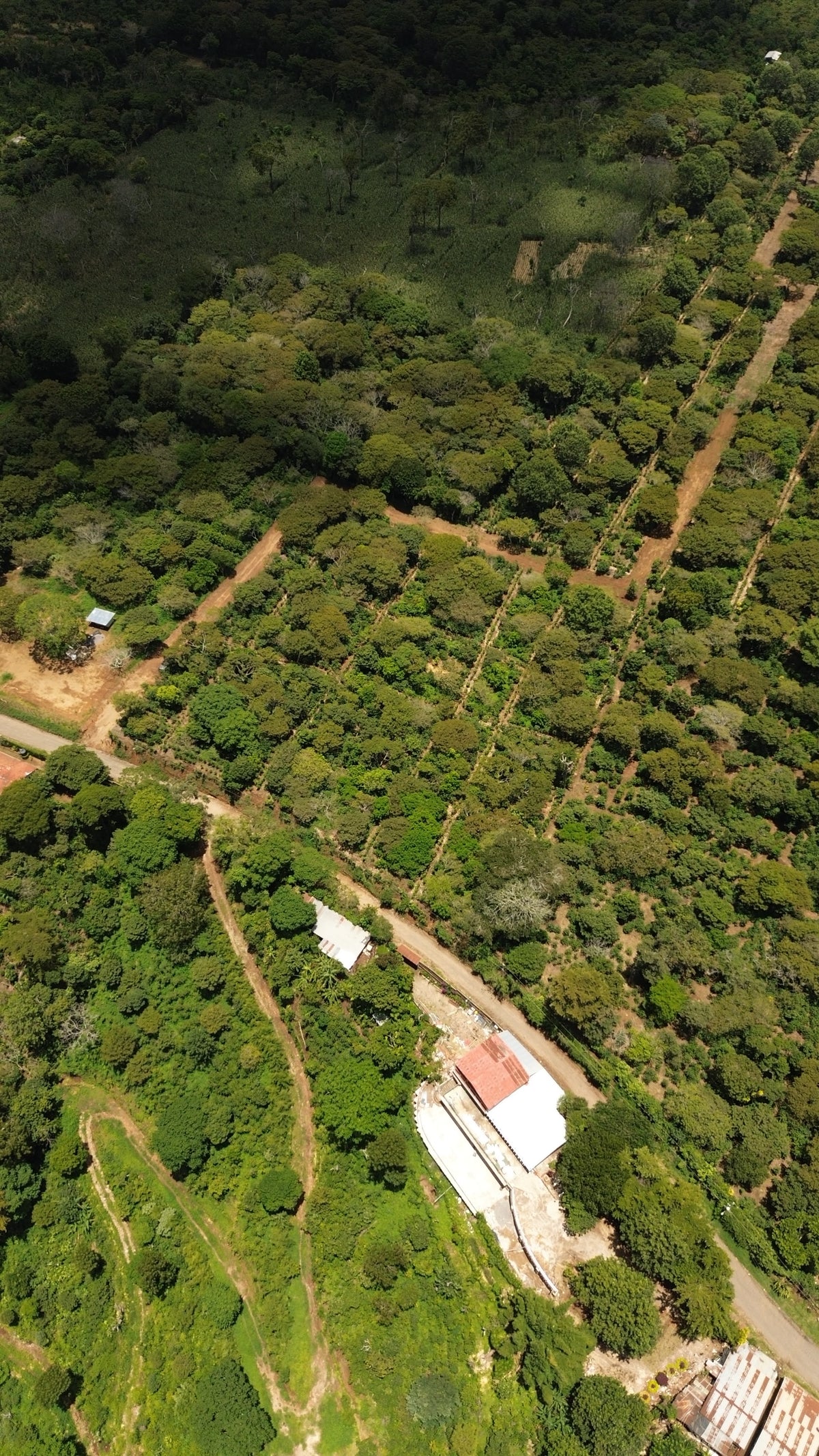 Terreno de 1.6 Manzanas en Venta a 3 Minutos del Pueblo de Ataco
