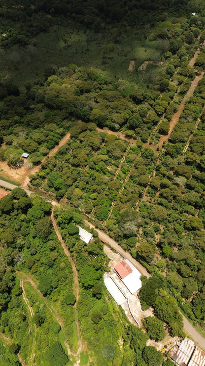 Terreno de 1.6 Manzanas en Venta a 3 Minutos del Pueblo de Ataco