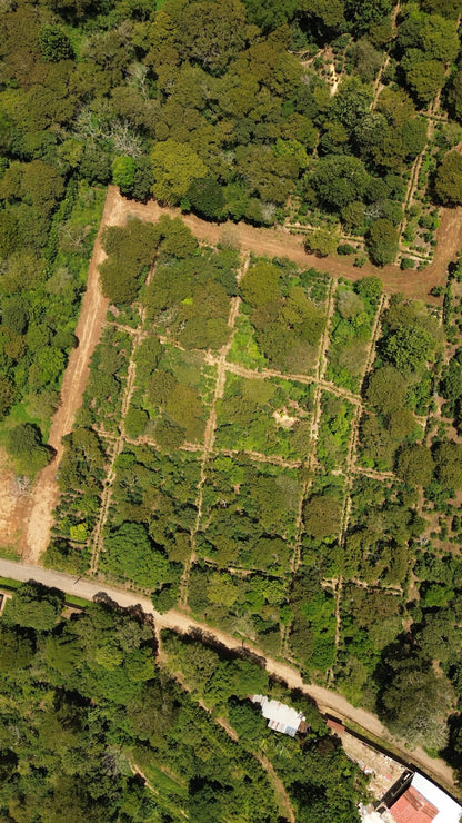 Terreno de 1.6 Manzanas en Venta a 3 Minutos del Pueblo de Ataco