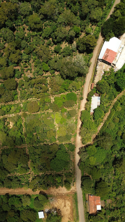 Terreno de 1.6 Manzanas en Venta a 3 Minutos del Pueblo de Ataco